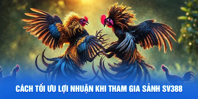 Sảnh SV388 - Sảnh Đá Gà Trực Tuyến Uy Tín Hàng Đầu Châu Á 4 Cách tối ưu lợi nhuận khi tham gia sảnh SV388